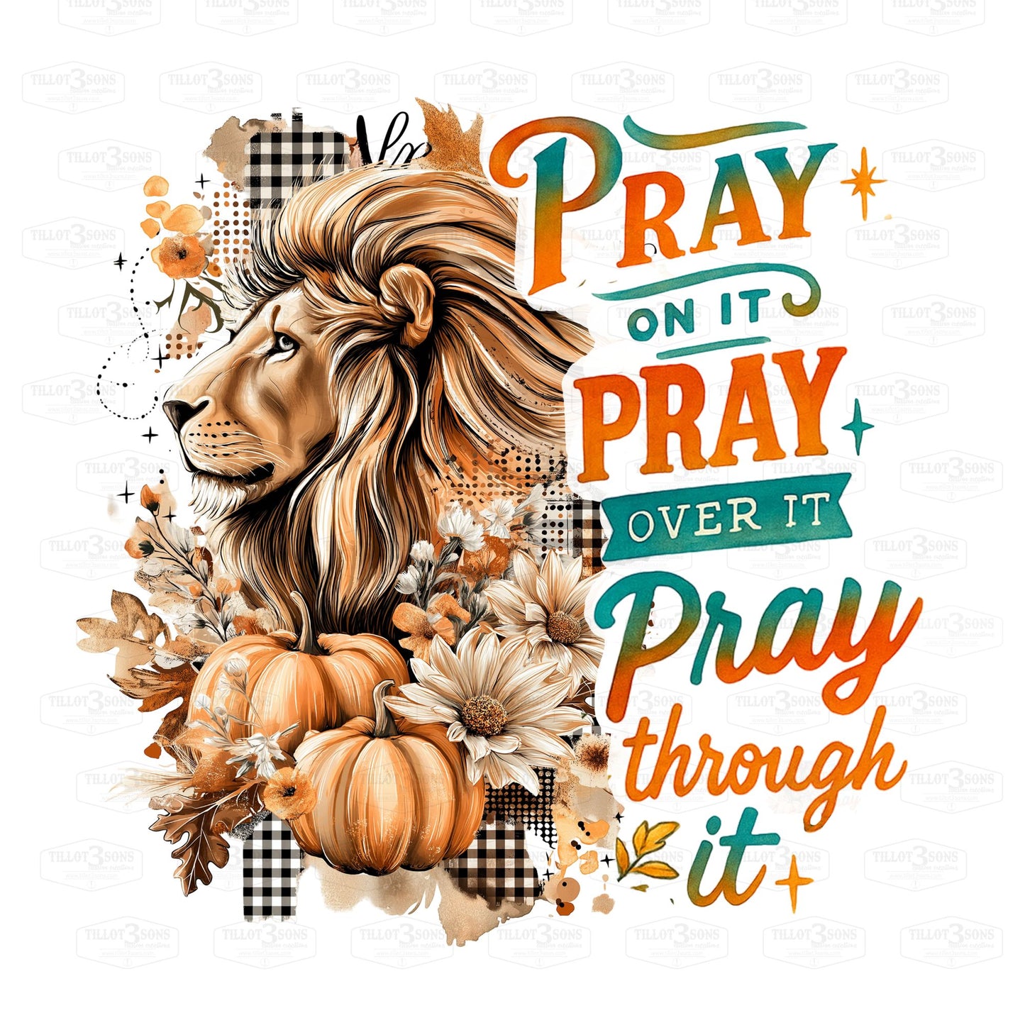 Pray Over It, Pray Through It | graphics t-shirt