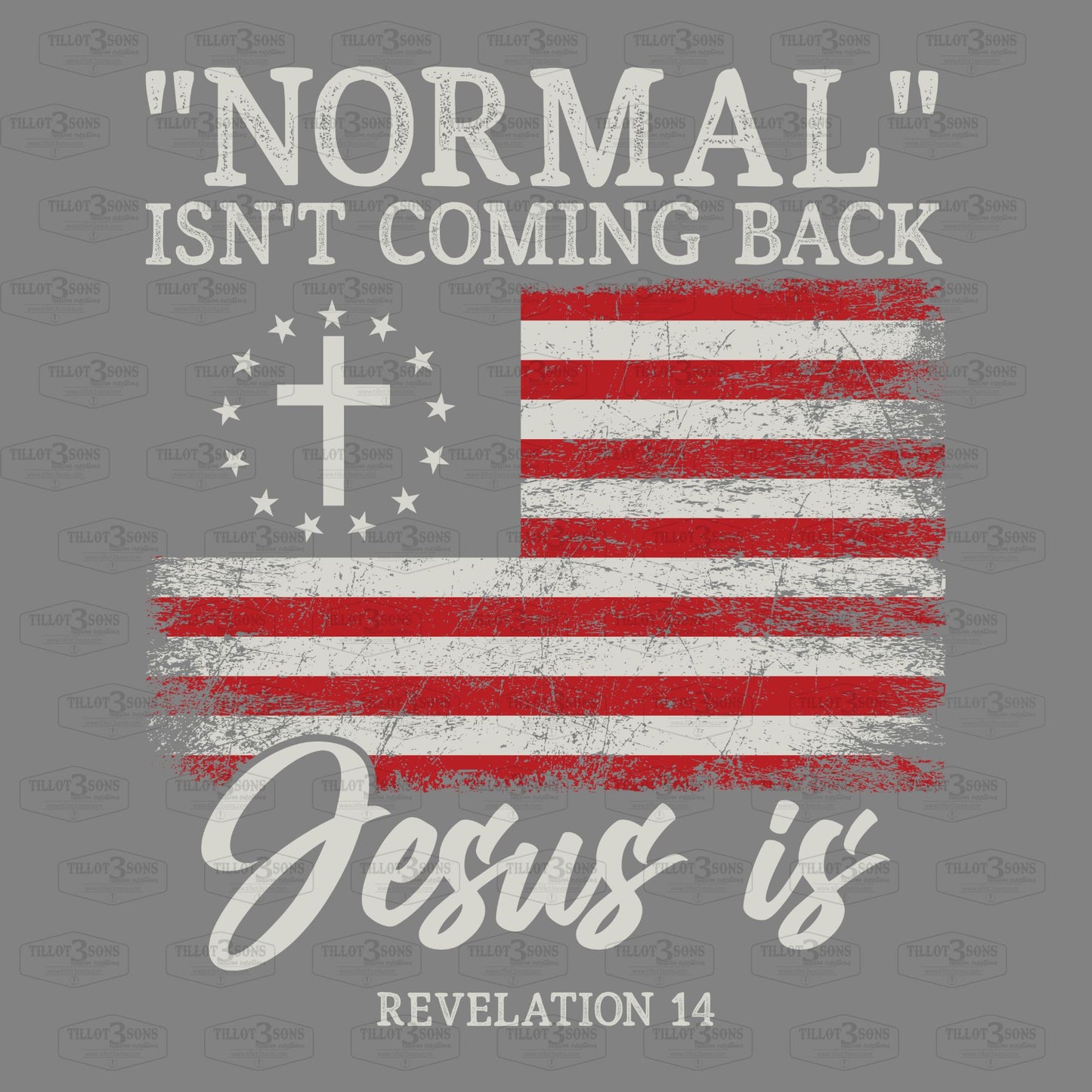Normal Isn't Coming Back - Jesus Is | graphics t-shirt